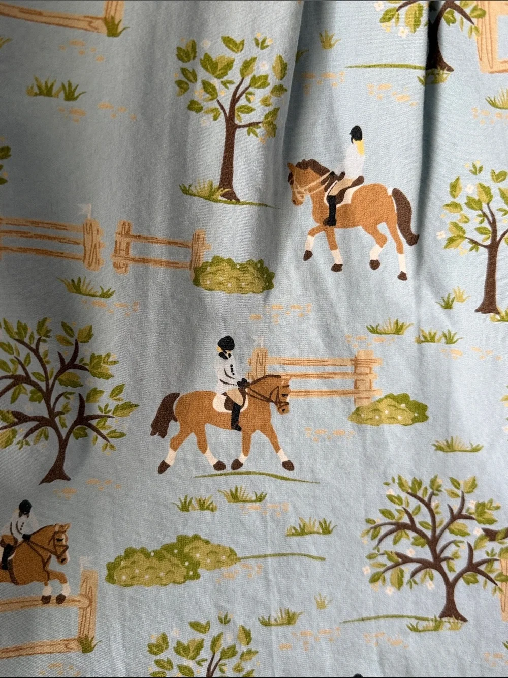 girls 6 Gymboree blue horse equestrian riding dress print club pleated cotton